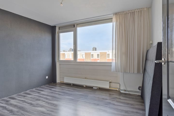 Photo 15 of Ring 237