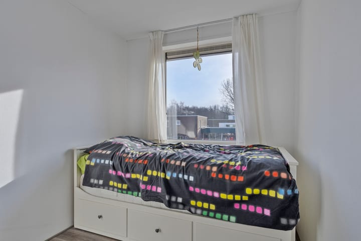 Photo 17 of Ring 237