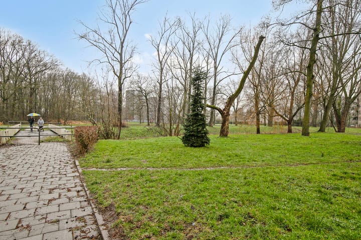 Foto 37 van Lankforst 4007