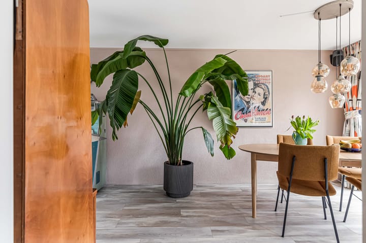 Photo 10 of Kromgouw 84