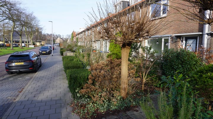 Foto 42 van Tutein Noltheniusplein 20