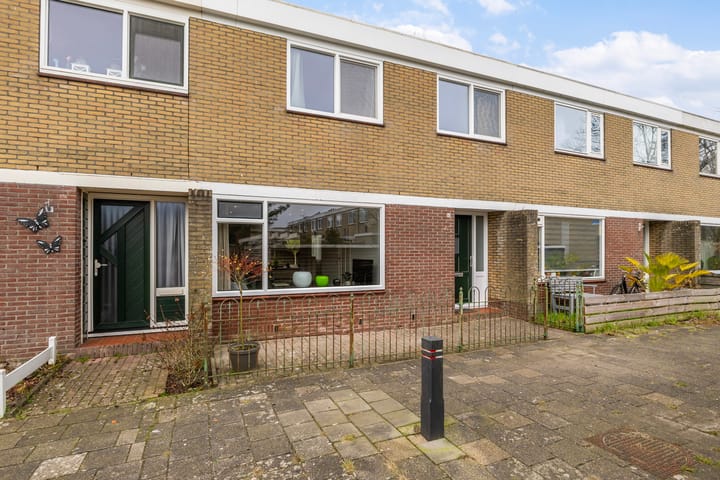 Foto 1 van de Bird 43