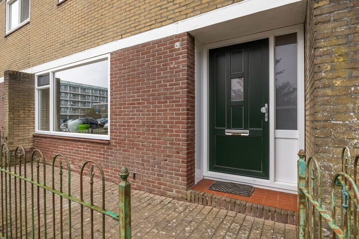 Foto 2 van de Bird 43