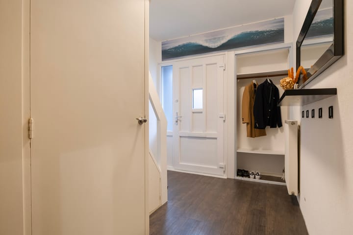 Foto 3 van de Bird 43