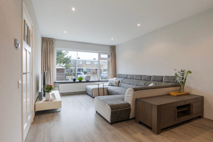 Foto 5 van de Bird 43