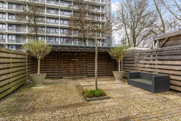 Foto 27 van de Bird 43