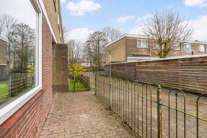 Foto 28 van de Bird 43