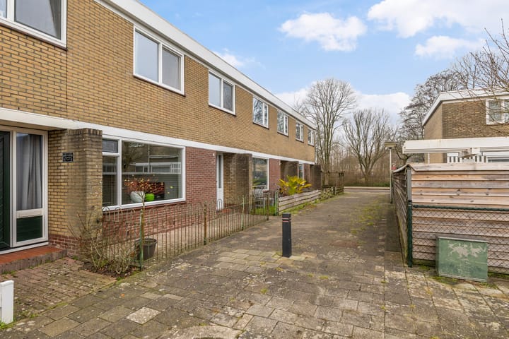 Foto 29 van de Bird 43