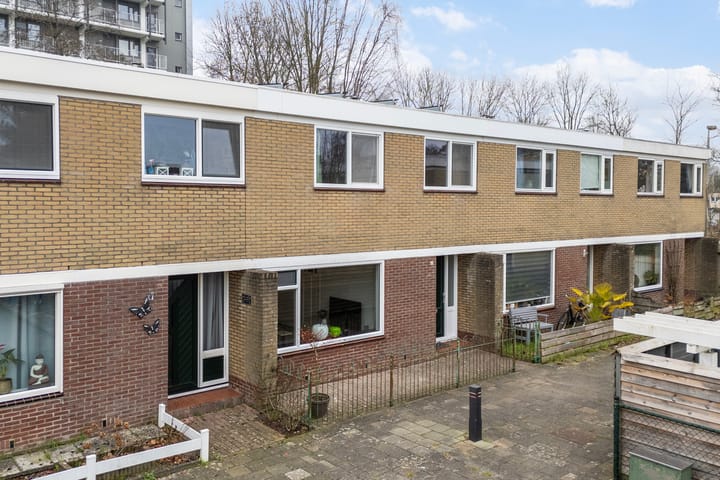 Foto 31 van de Bird 43