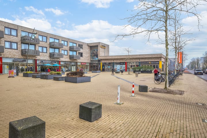 Foto 34 van de Bird 43