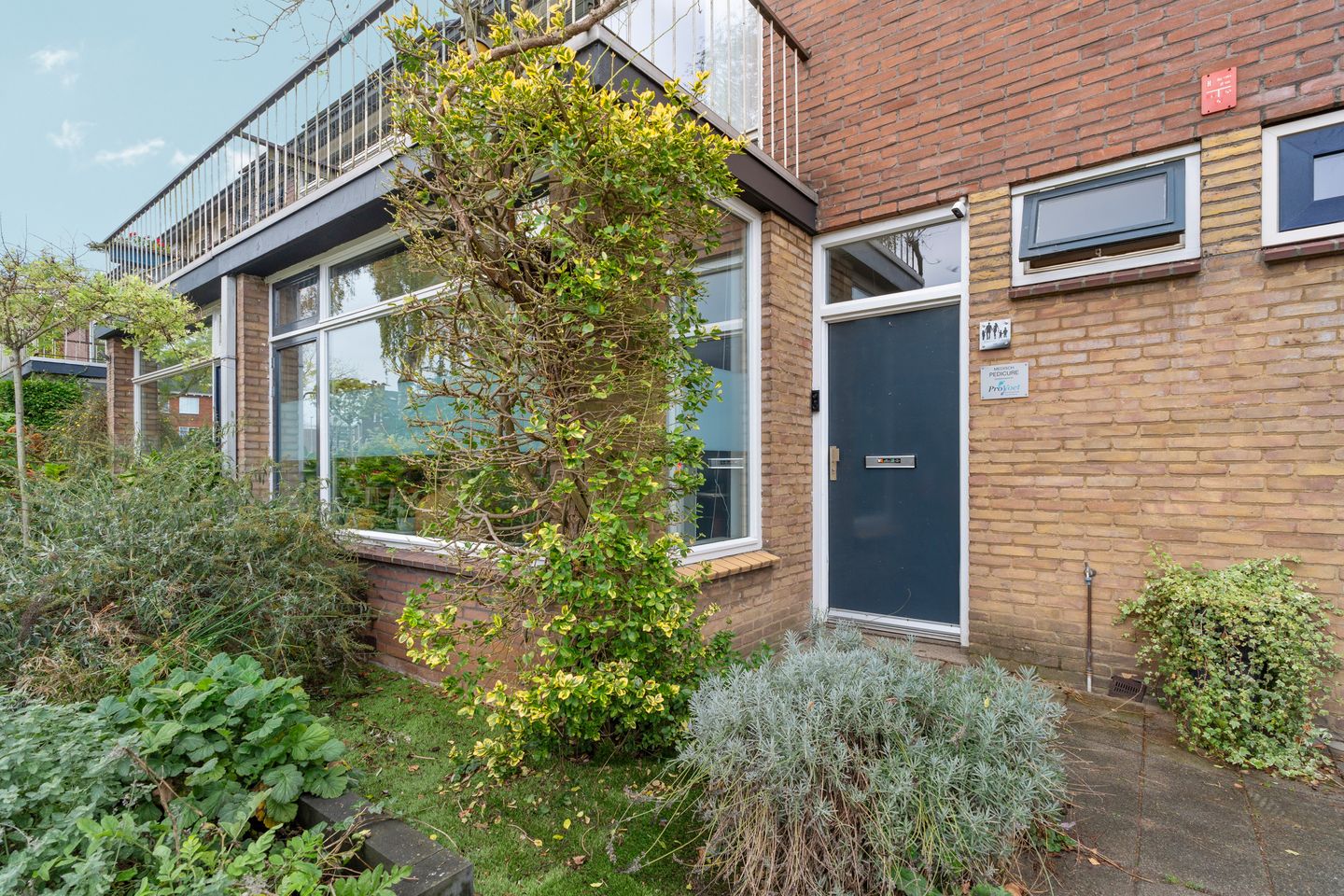 Foto 5 van Ranonkelstraat 50