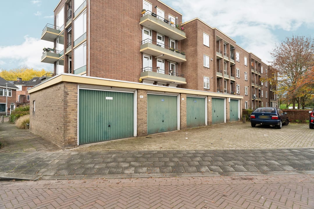 Foto 37 van Ranonkelstraat 50