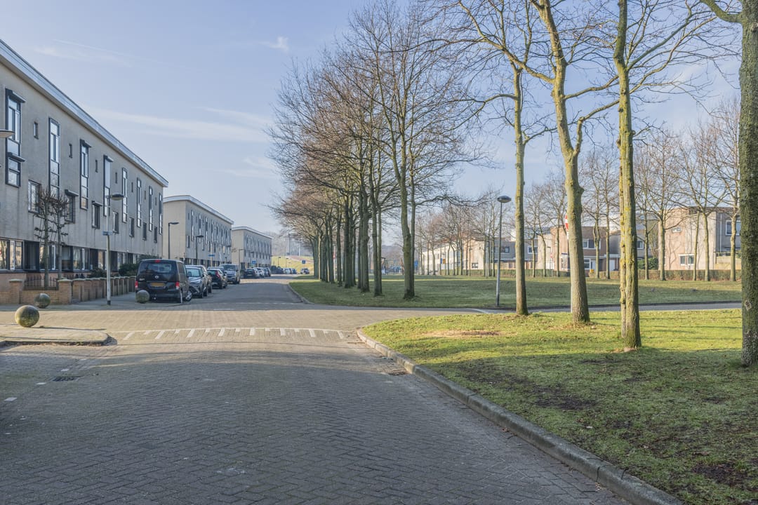 Foto 46 van Salomonszegel 53