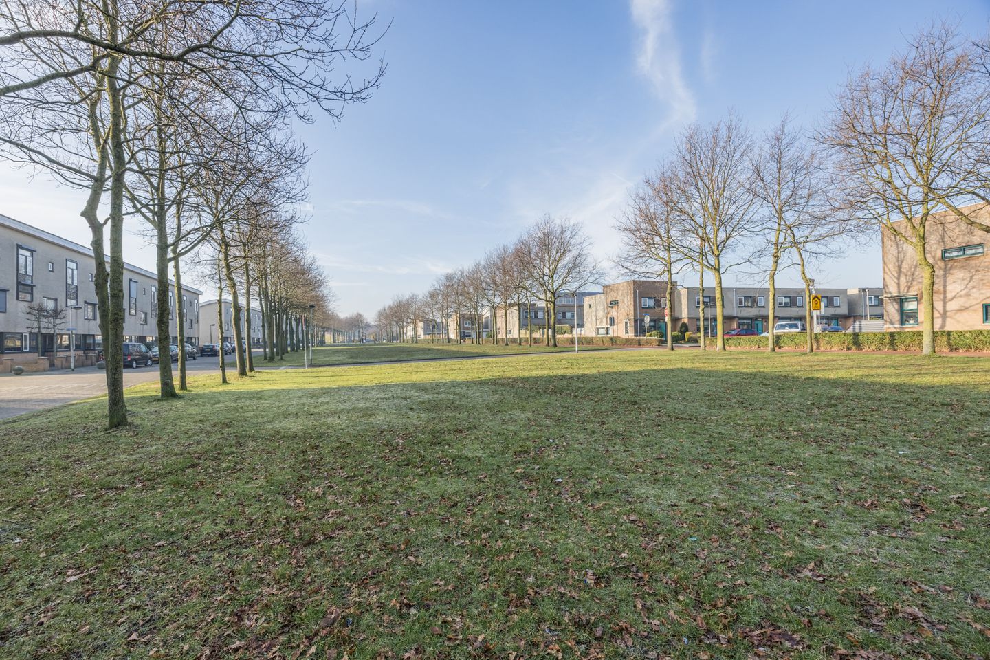 Foto 49 van Salomonszegel 53