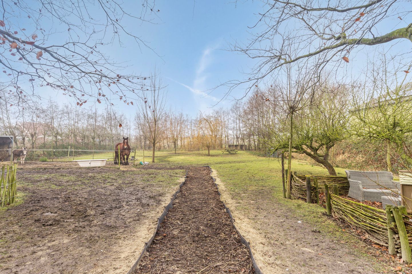 Foto 29 van van Hattumstraat 22