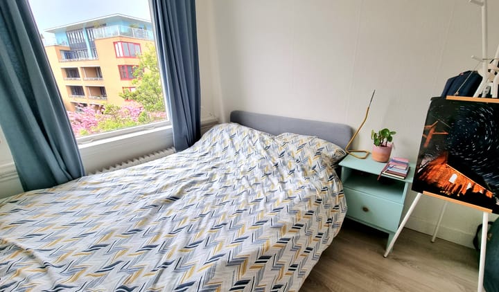 Foto 7 van Justus van Effenstraat 50-B