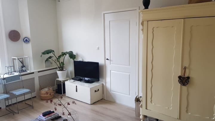 Foto 6 van Justus van Effenstraat 50-B