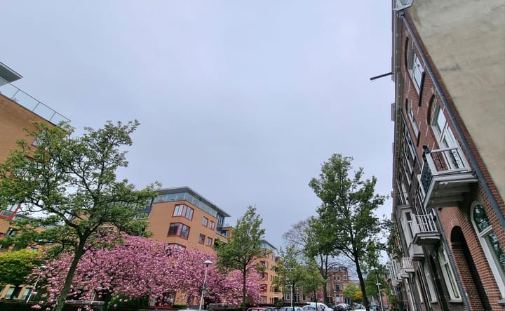 Foto 3 van Justus van Effenstraat 50-B