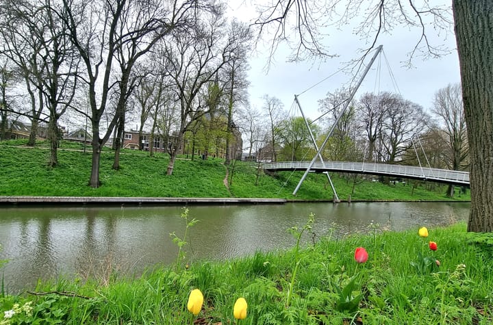 Foto 21 van Justus van Effenstraat 50-B