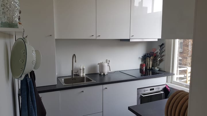 Foto 16 van Justus van Effenstraat 50-B