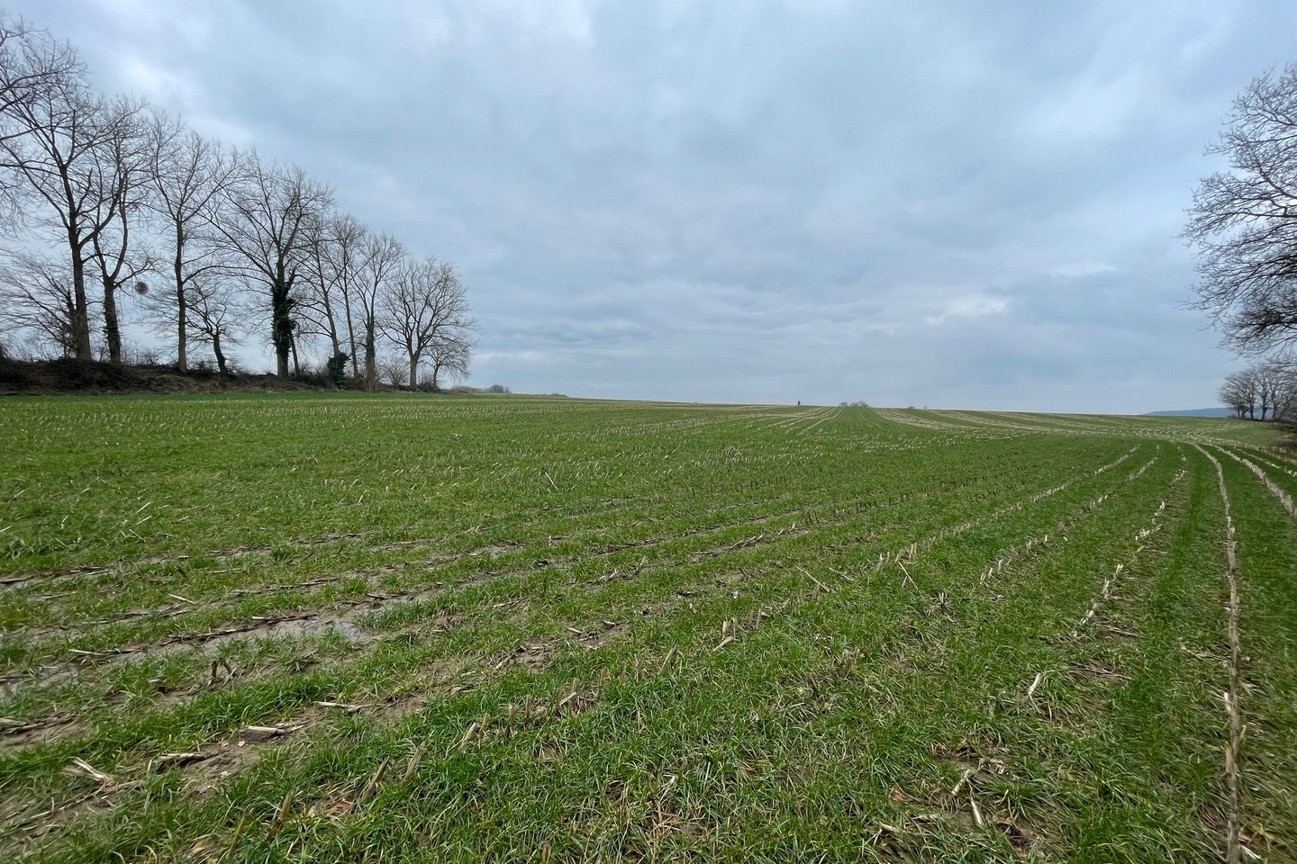 Bekijk foto 4 van Goedenraadsbergweg