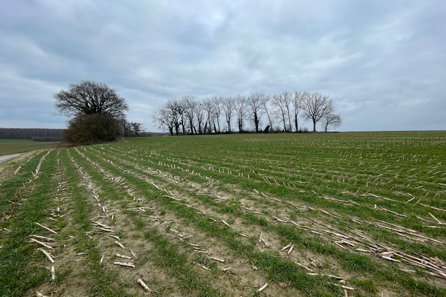 Bekijk foto 5 van Goedenraadsbergweg