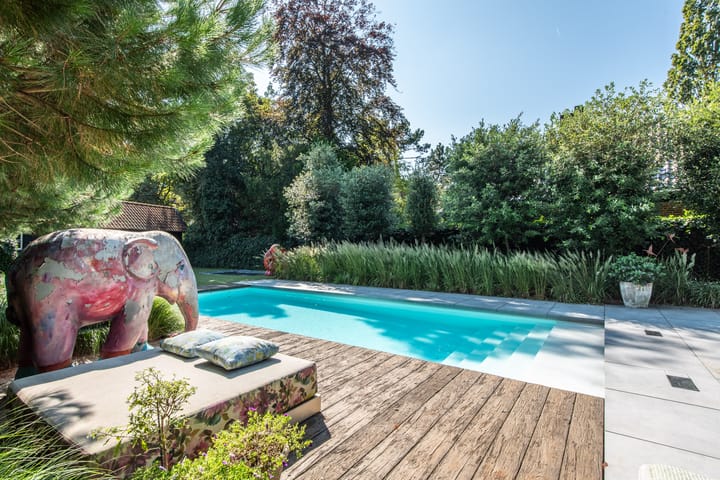 Foto 45 van Van Reenenpark 9