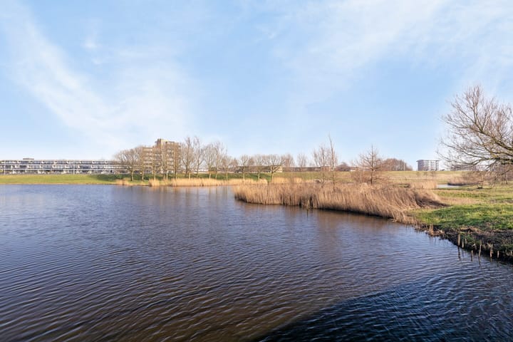 Foto 41 van Walvisbaai 4