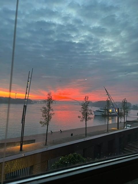 Foto 35 van Bertus Bulstraat 17