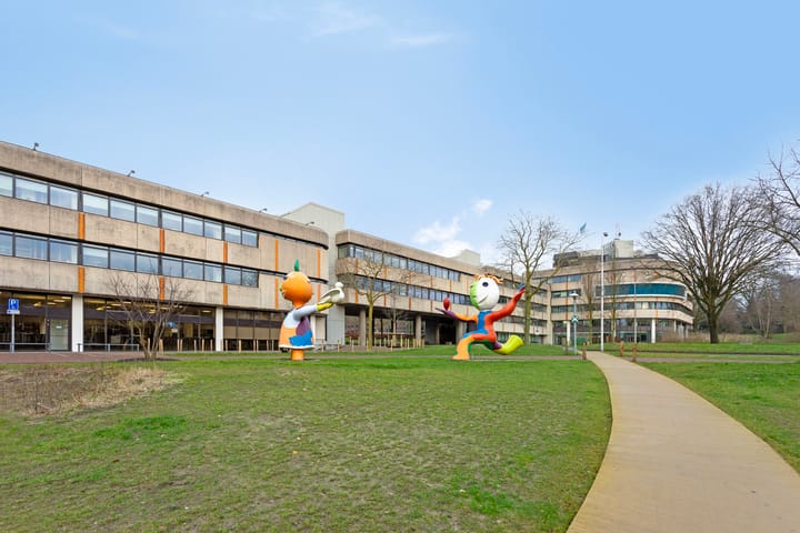 Foto 31 van Raadhuisstraat 111