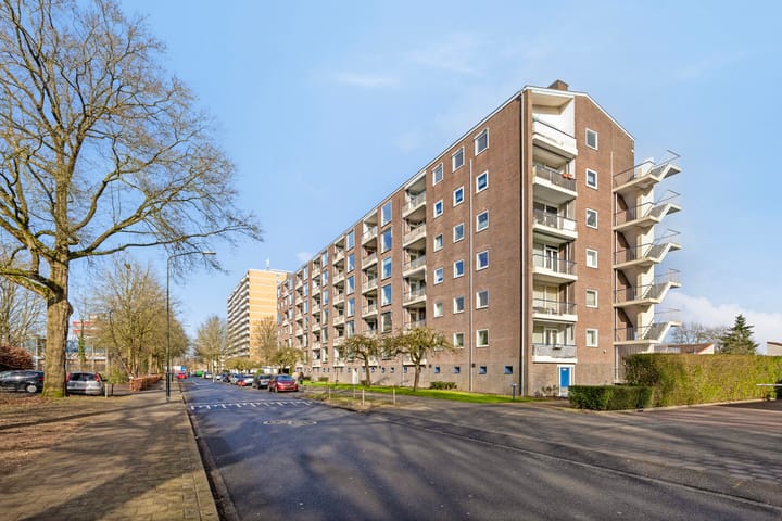 Foto 46 van Henri Dunantlaan 275