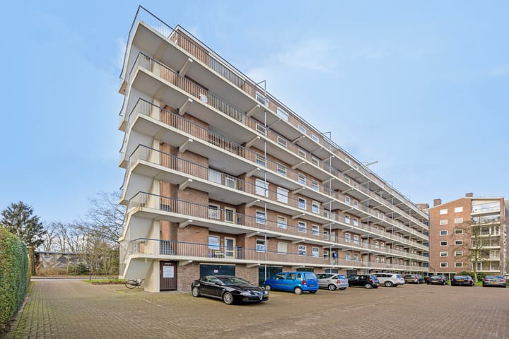 Foto 39 van Henri Dunantlaan 275