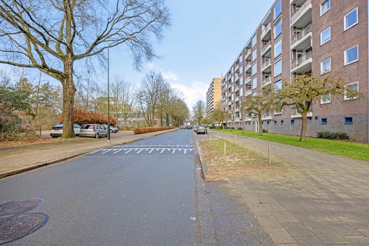 Foto 41 van Henri Dunantlaan 275