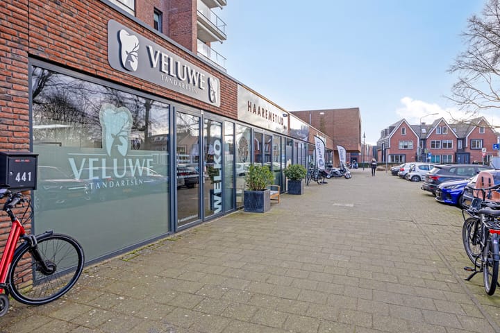 Foto 44 van Henri Dunantlaan 275