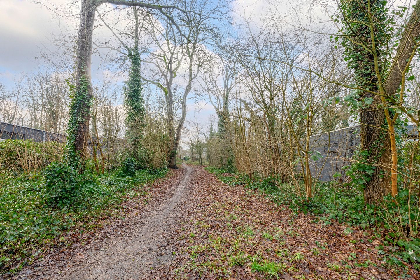 Photo 44 of Orchideeweg 10