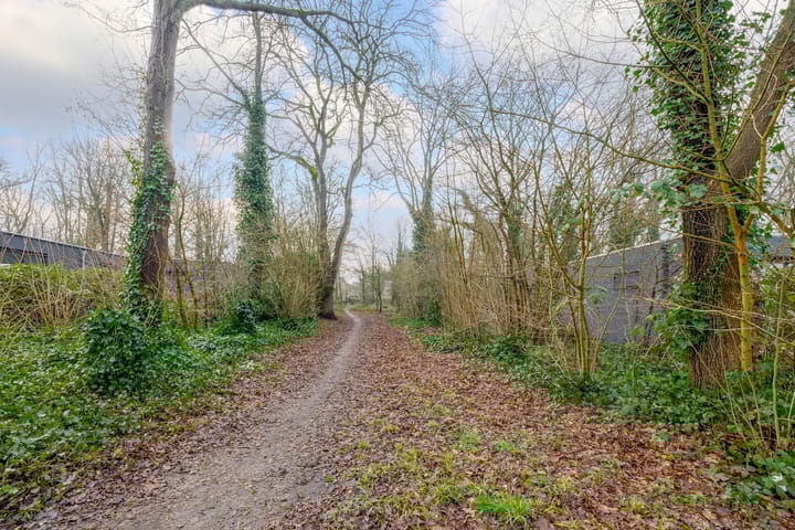 Foto 44 van Orchideeweg 10