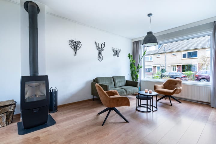 Foto 2 van van Halllaan 18