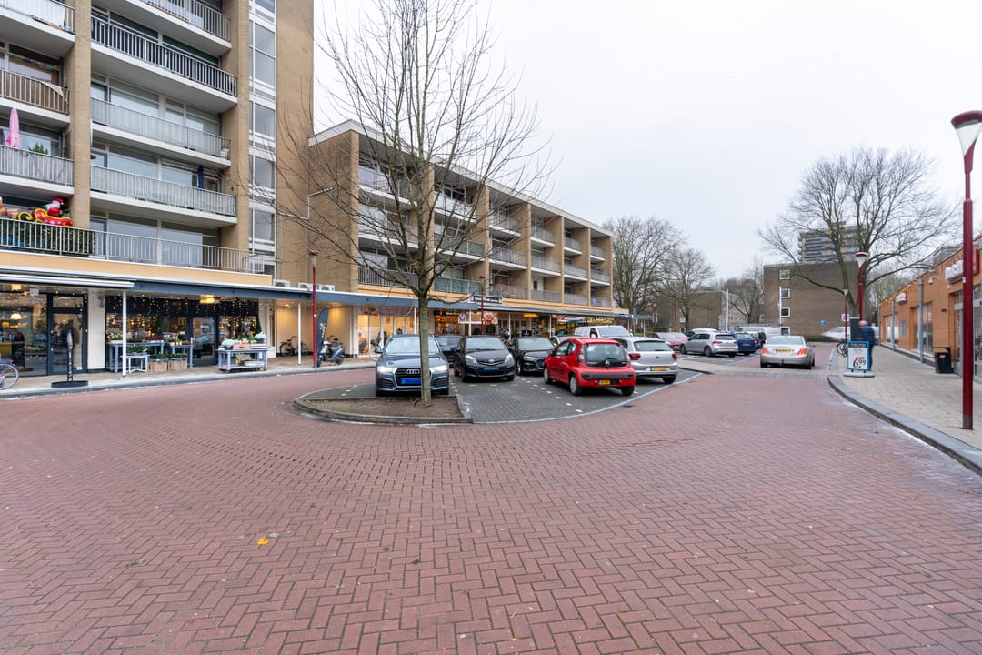 Photo 41 of van Halllaan 18