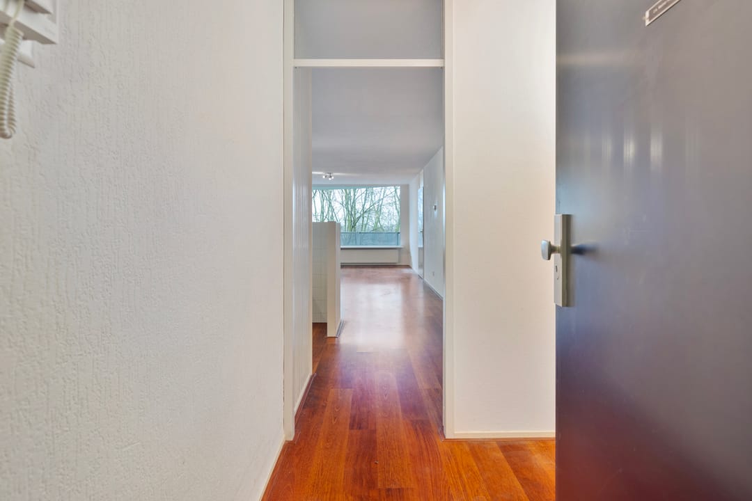 Foto 2 van Zeezigt 300