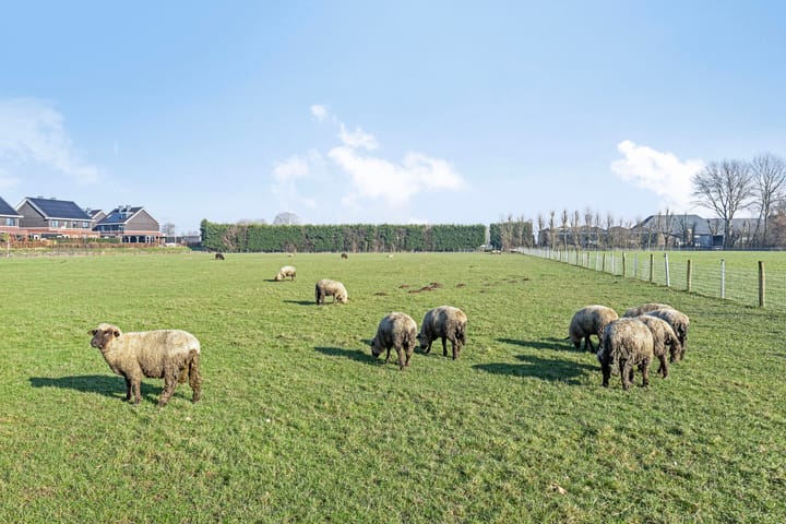 Foto 34 van De Kleefse Kamp 76