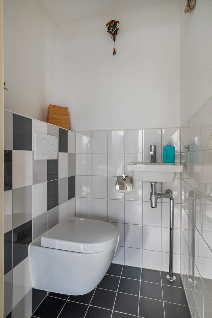 Foto 4 van Rooseveltlaan 462