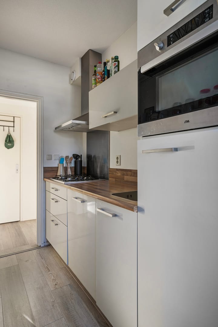 Foto 19 van Rooseveltlaan 462