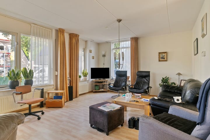 Foto 2 van Goudplevier 120