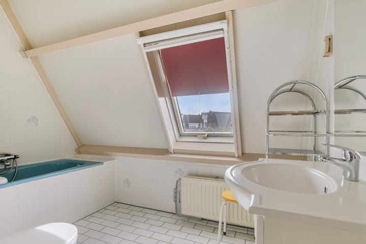 Foto 4 van Goudplevier 120