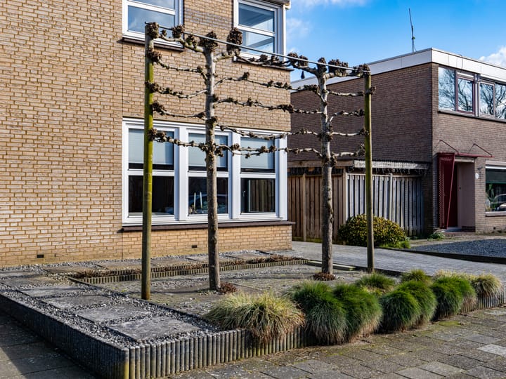 Foto 7 van Roerdompstraat 6