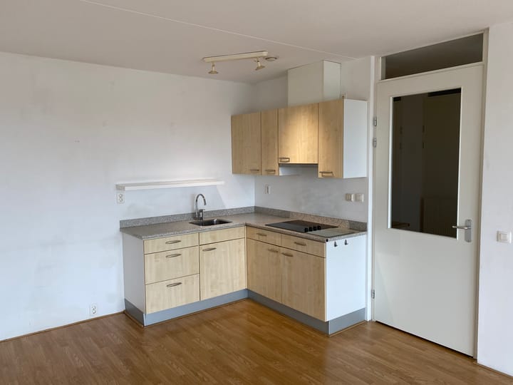 Photo 3 of Tamarixplantsoen 241