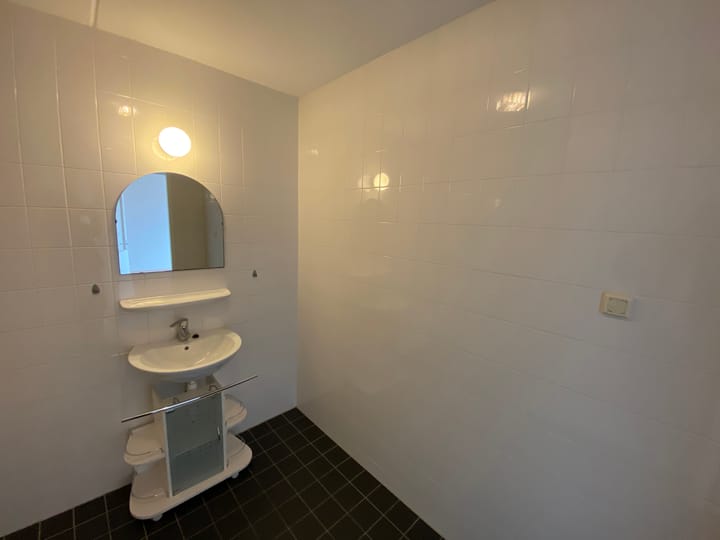 Foto 11 van Tamarixplantsoen 241