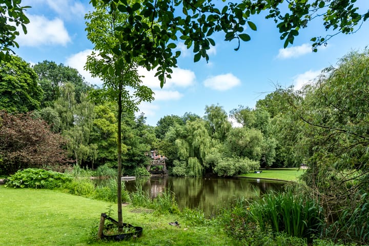 Foto 35 van Tolstraat 123-2