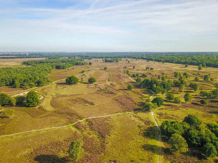 Foto 31 van Beukenlaan 68