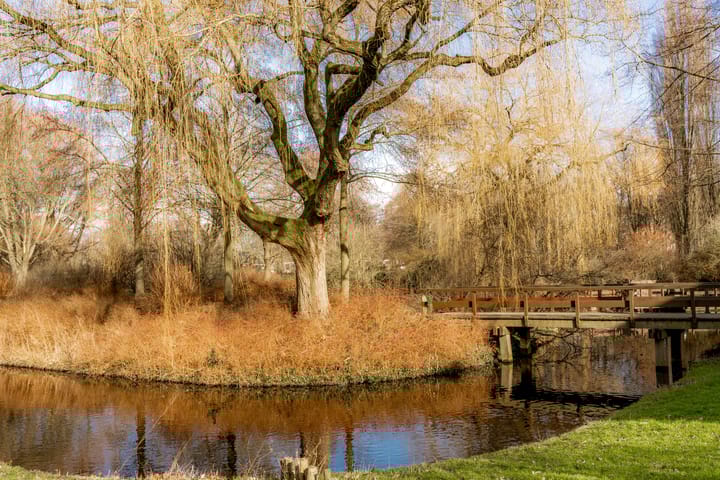 Foto 37 van Dr. Willem Dreesweg 377